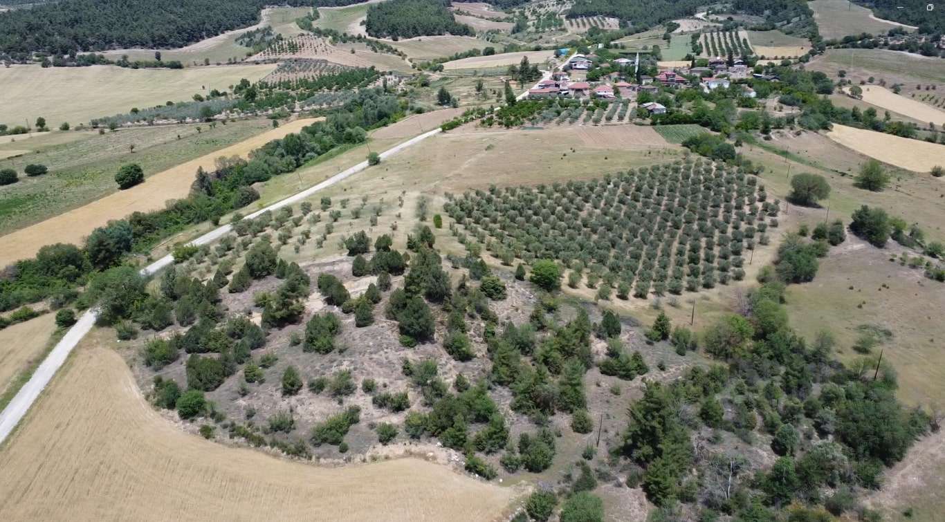 Tarla Tapusu ile Arsa Tapusu Arasındaki Farklar Nelerdir?