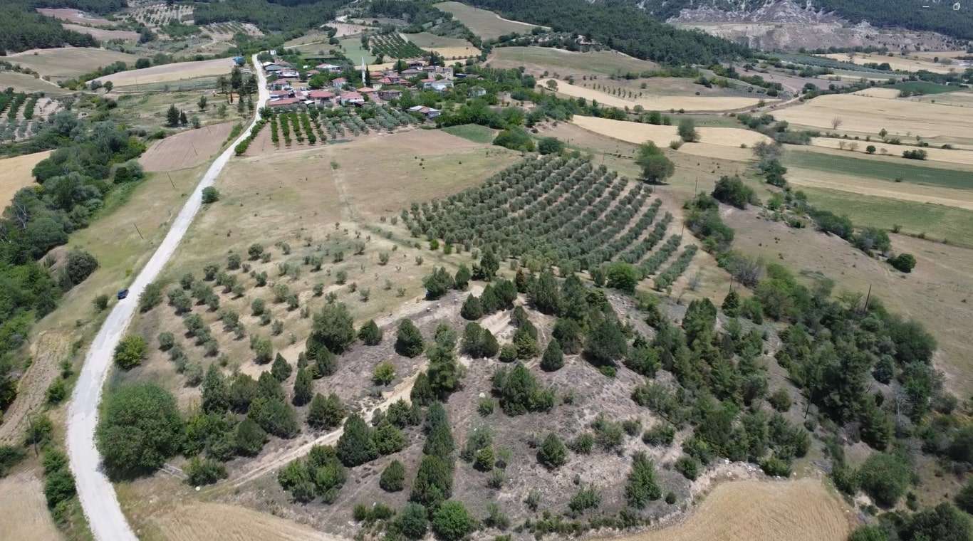 Kandıra Geyve ve Gölpazarı Üçgeninde Arsa Yatırımı: Hangi Bölge Ne Vaat Ediyor?