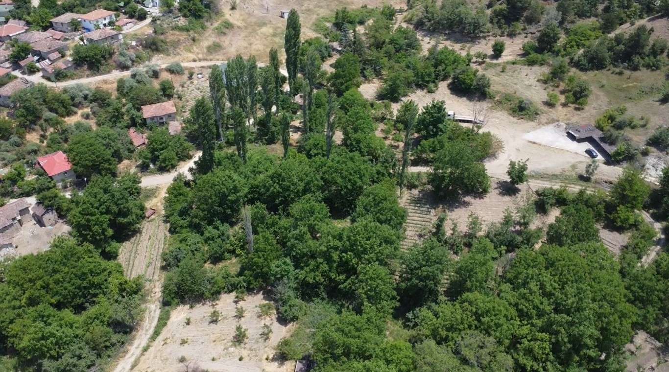 Bilecik Gölpazarı’nda Arsa Arazi Meyve Bahçeleri Yatırımı