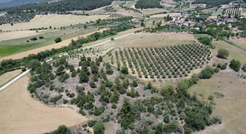 Köyde Tarla Alıp Ev Yapılır mı? İmar ve Sınır Rehberi