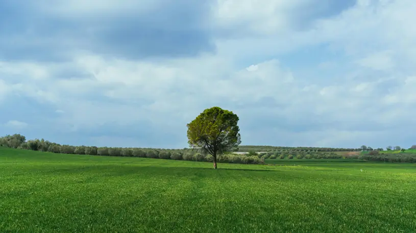 Manisa 2025 Eylül Konut Satışları İpotekli Satışlarda Yükseliş